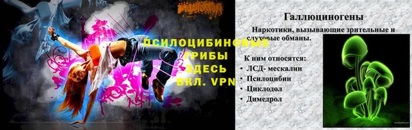 МДПВ Кодинск